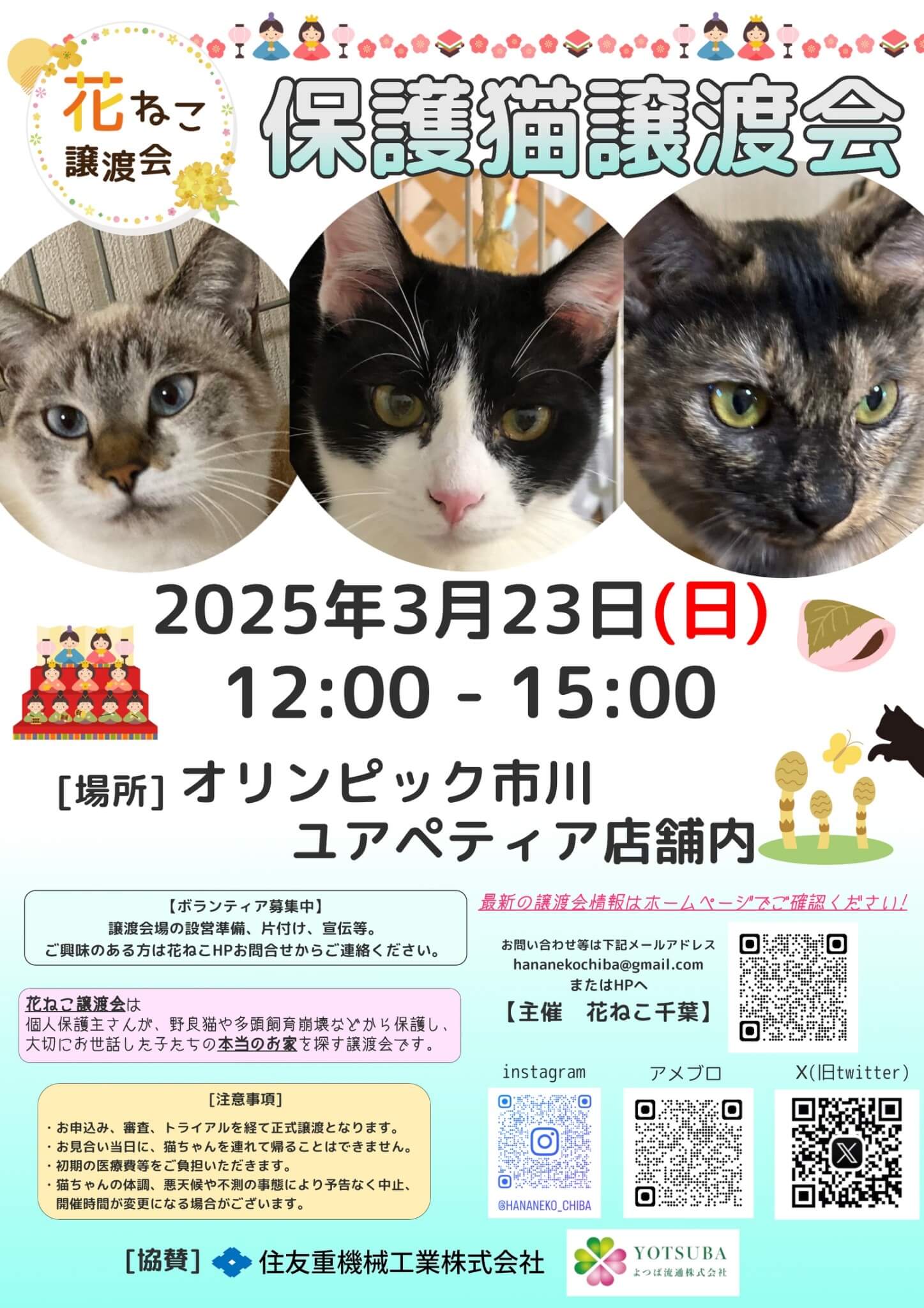 花ねこ譲渡会