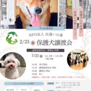 岐阜県関市の保護犬譲渡会🐾