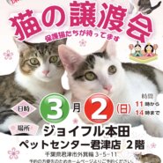 (君津市)保護猫の譲渡会