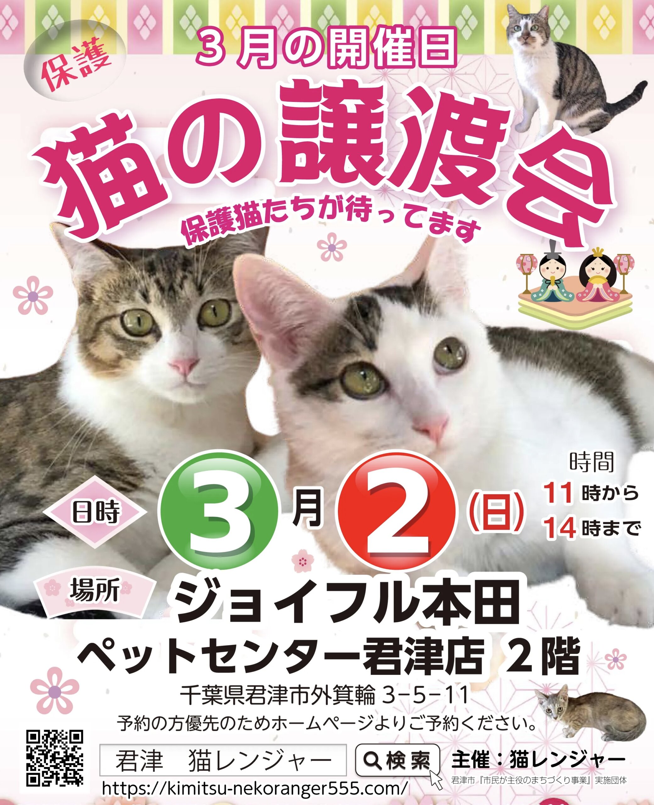 (君津市)保護猫の譲渡会