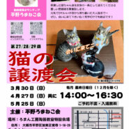 第27回 平野ろまねこ譲渡会