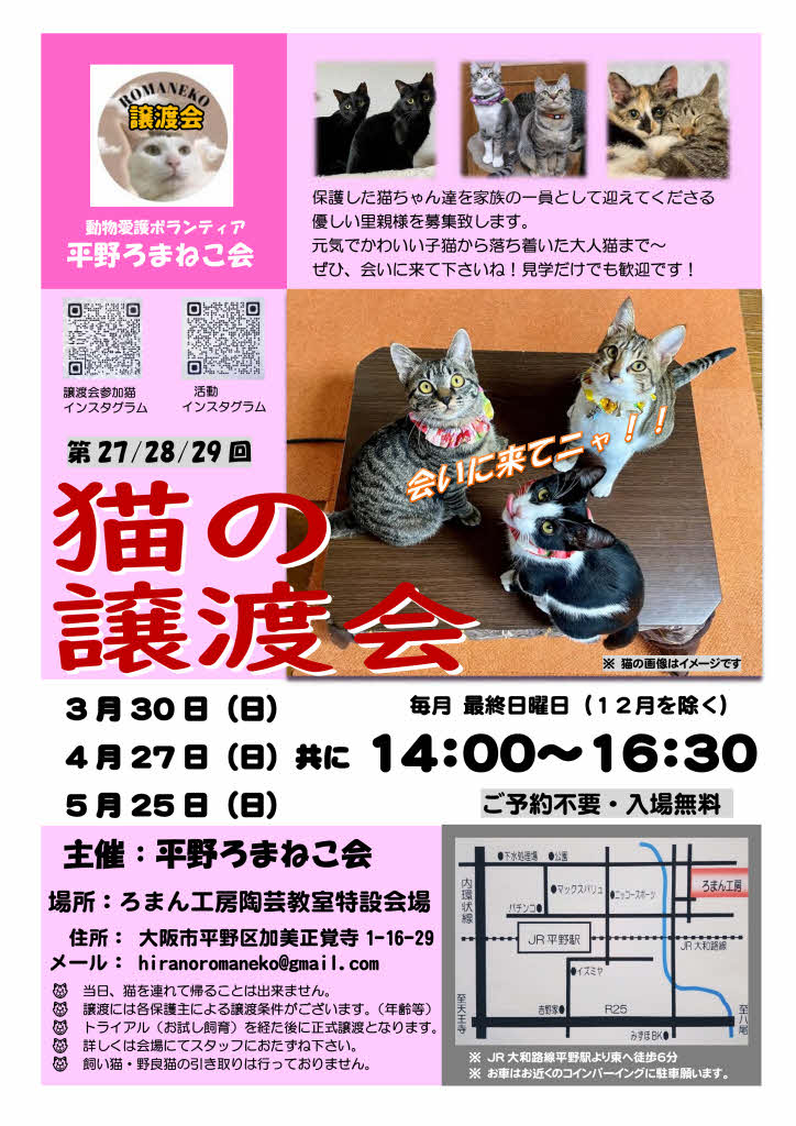 第27回 平野ろまねこ譲渡会