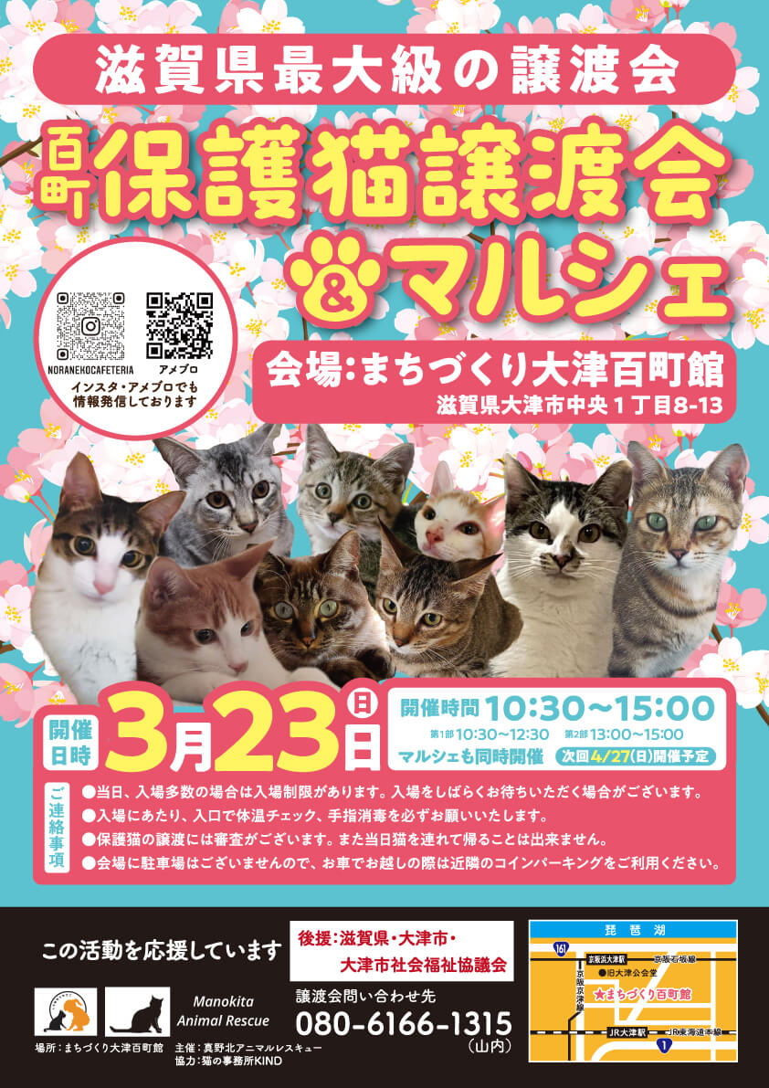 百町保護猫譲渡会＆マルシェ