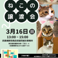 むさしの地域猫の会　譲渡会