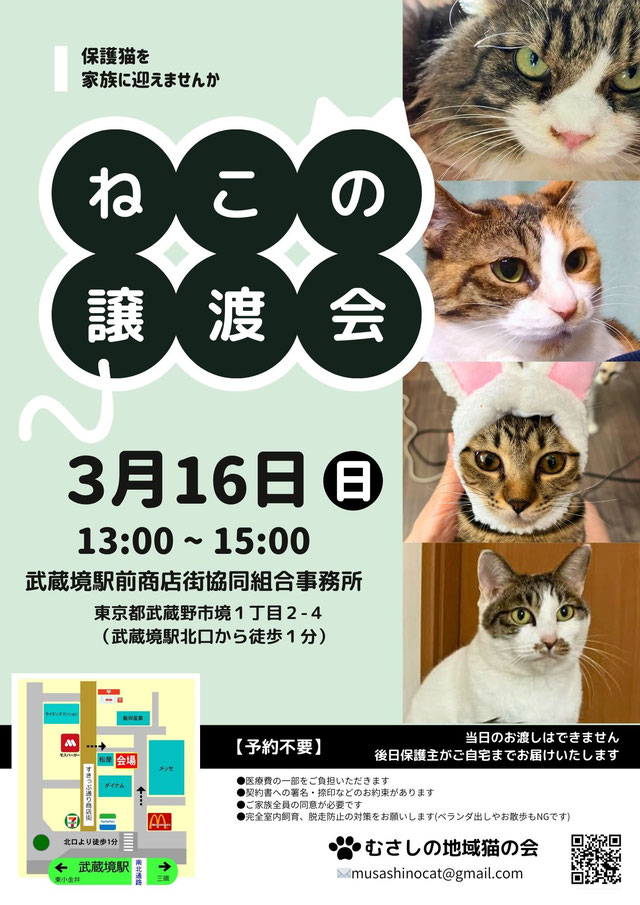 むさしの地域猫の会　譲渡会