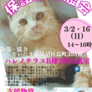 【さいたま市見沼区】3/2㈰ハレノテラス保護猫譲渡会