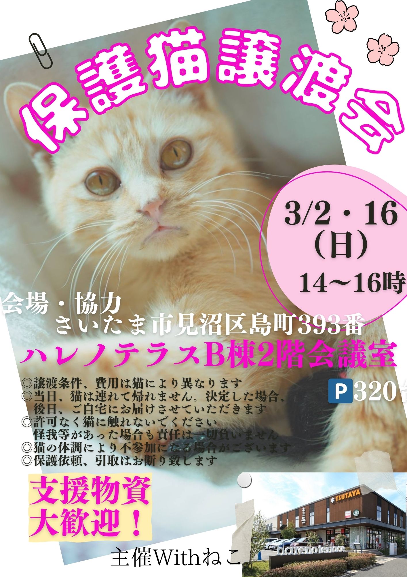 【さいたま市見沼区】3/2㈰ハレノテラス保護猫譲渡会