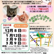 NPO法人　おおさかねこネット　猫の里親会