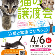 子猫いるかも！？★みよし市