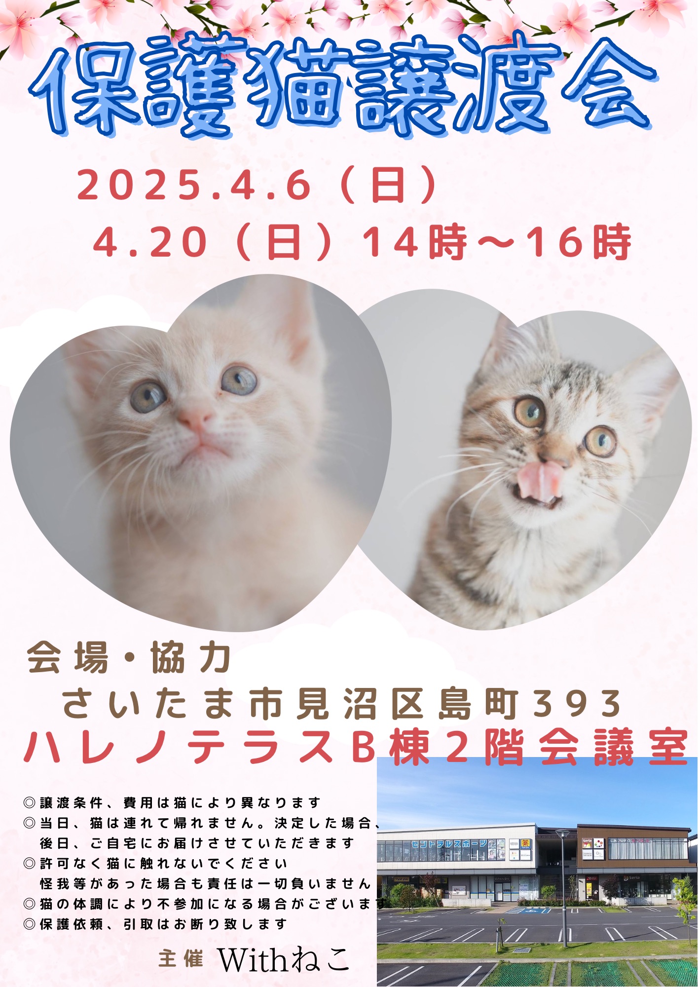 【さいたま市見沼区】4/6㈰ハレノテラス保護猫譲渡会