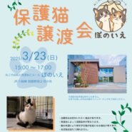 【さいたま市西区】3/23(日)猫専門病院「ぽのいえ」保護猫譲渡会