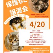 HappyCats〜ねこに恩返し〜保護ねこ譲渡会