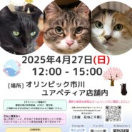 花ねこ譲渡会