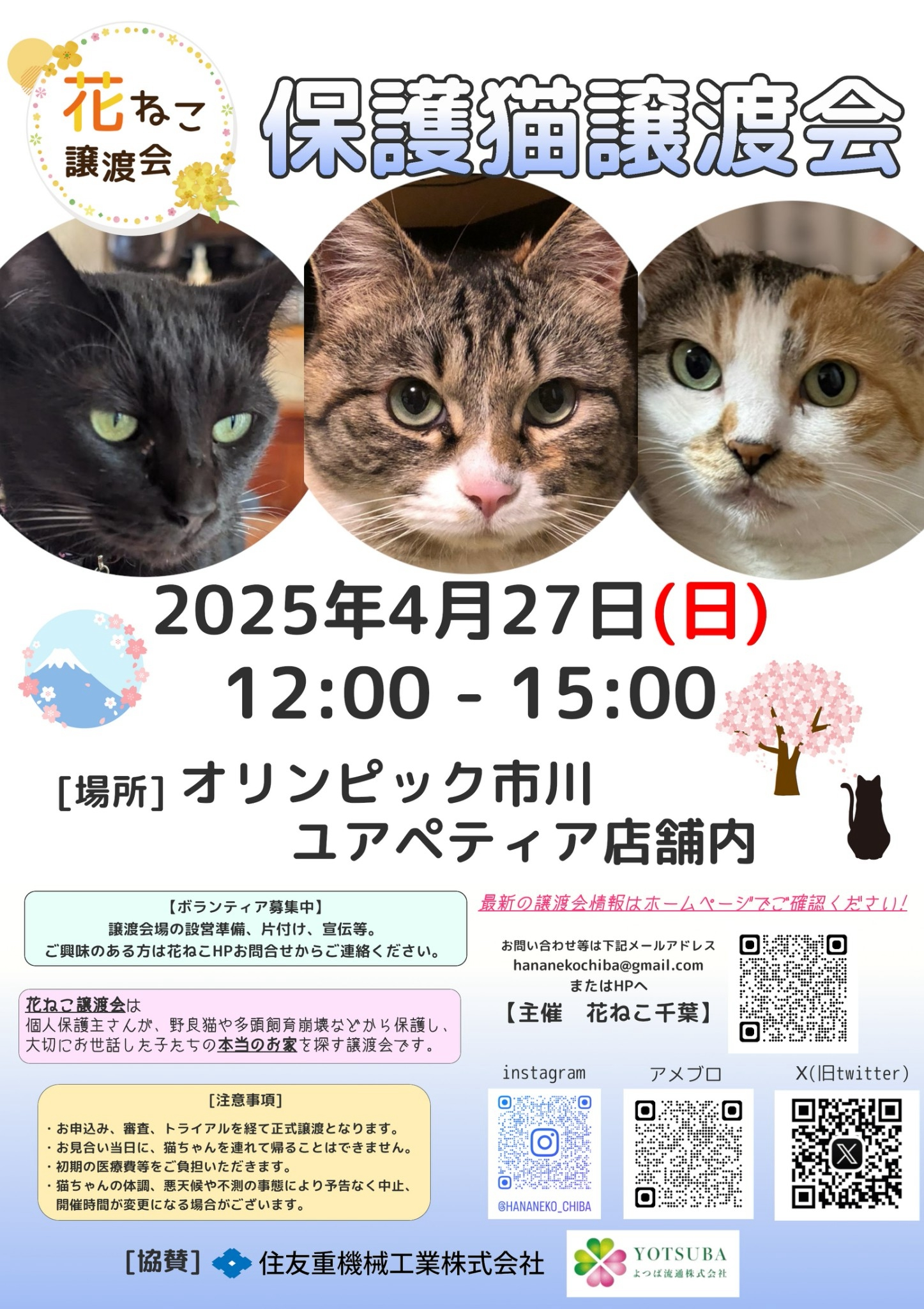 花ねこ譲渡会