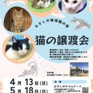 むさしの地域猫の会　譲渡会