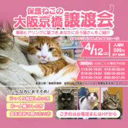 猫と遊べる譲渡会！