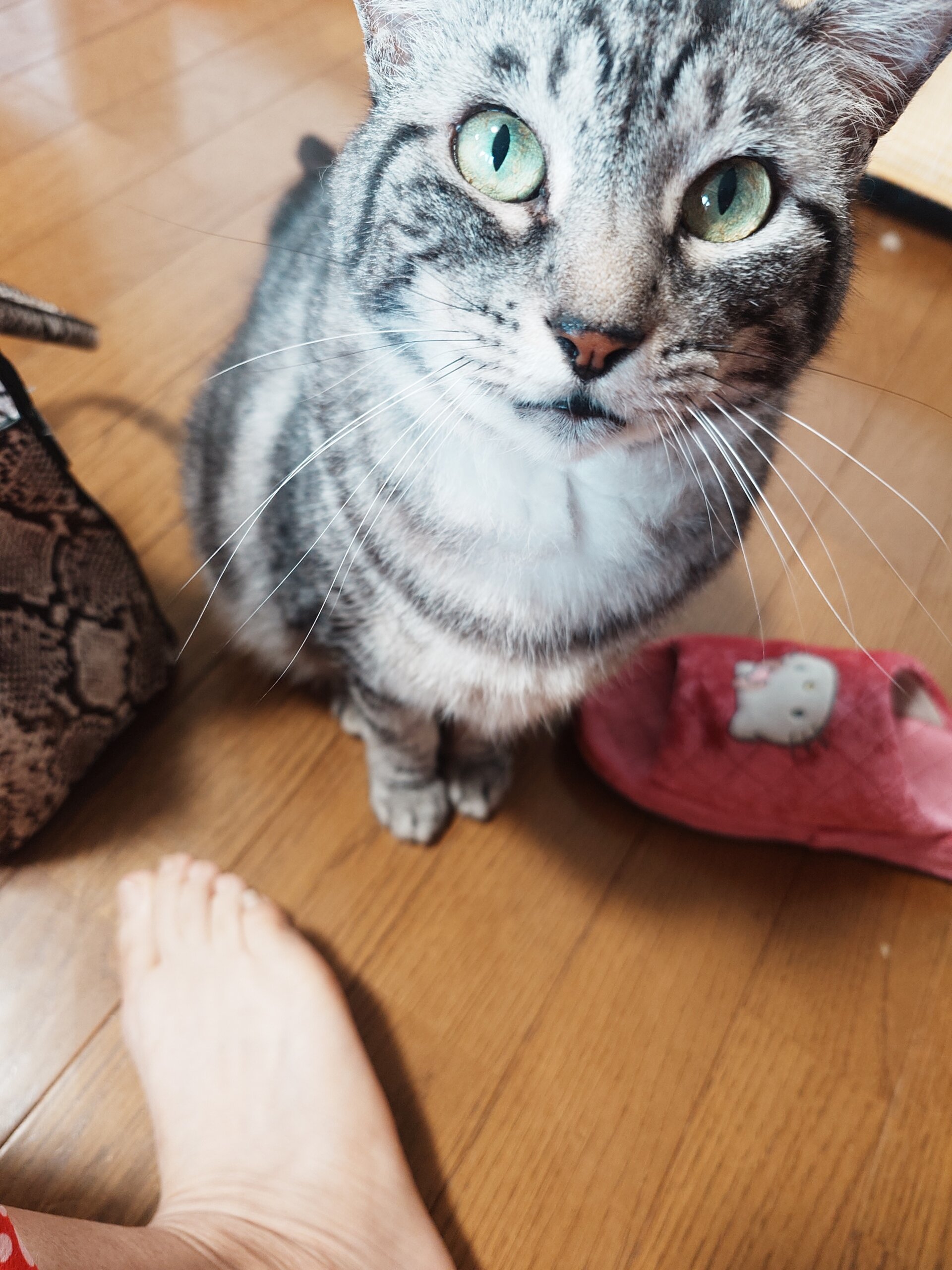 大切に育ててきました。