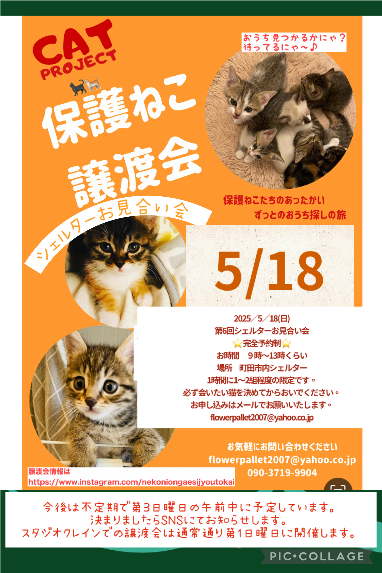 HappyCats〜ねこに恩返し〜保護ねこ譲渡会