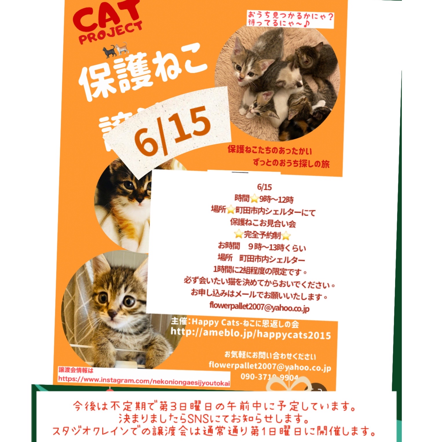 HappyCats〜ねこに恩返し〜保護ねこ譲渡会