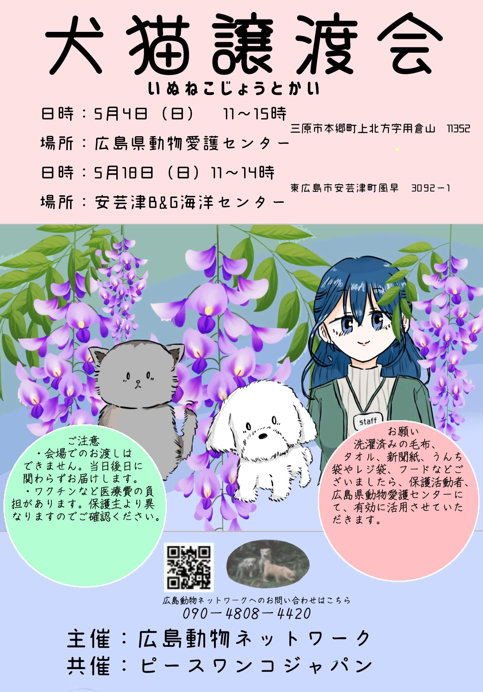 犬猫譲渡会