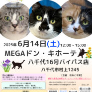 花ねこ譲渡会