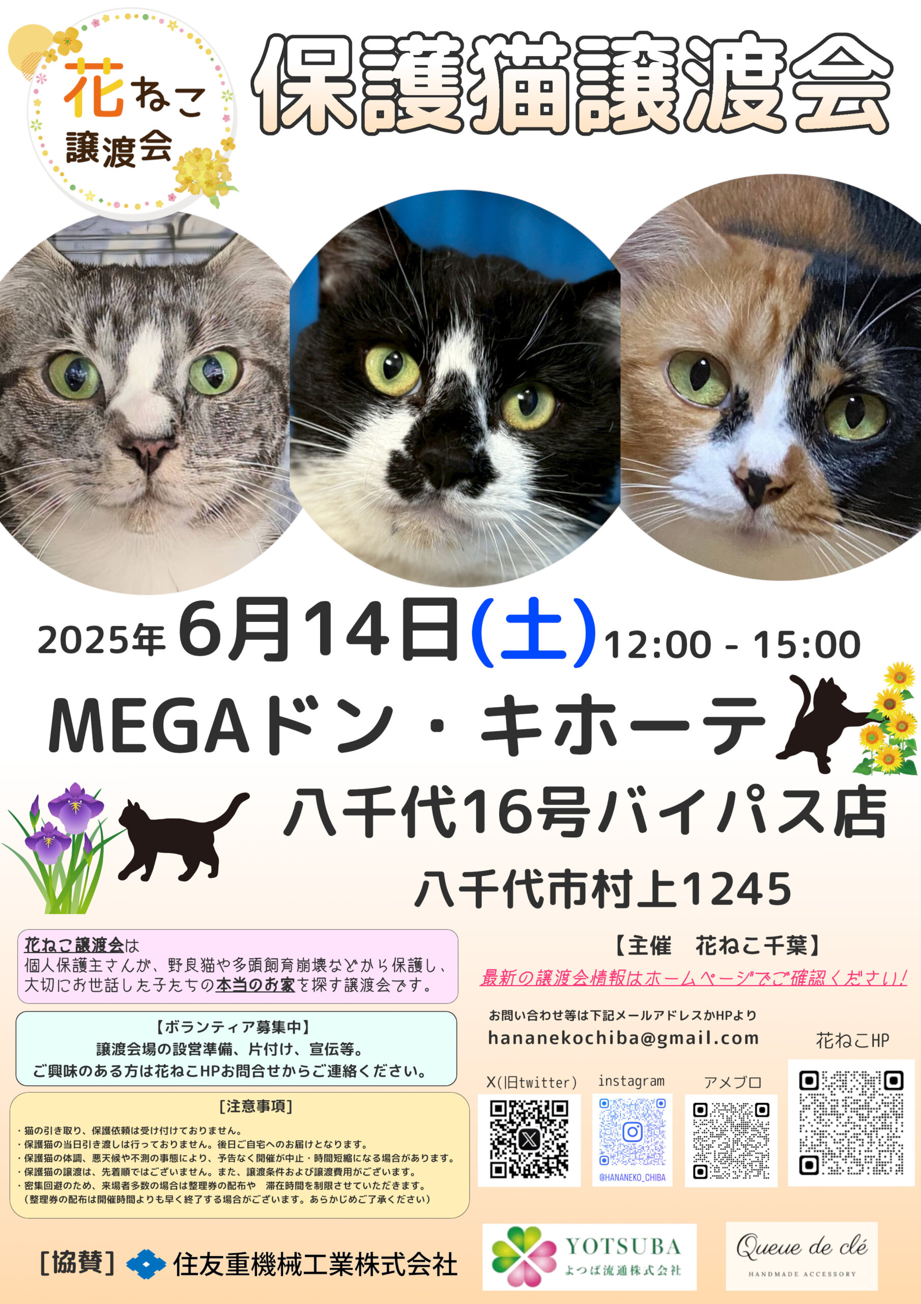 花ねこ譲渡会