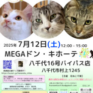 花ねこ譲渡会