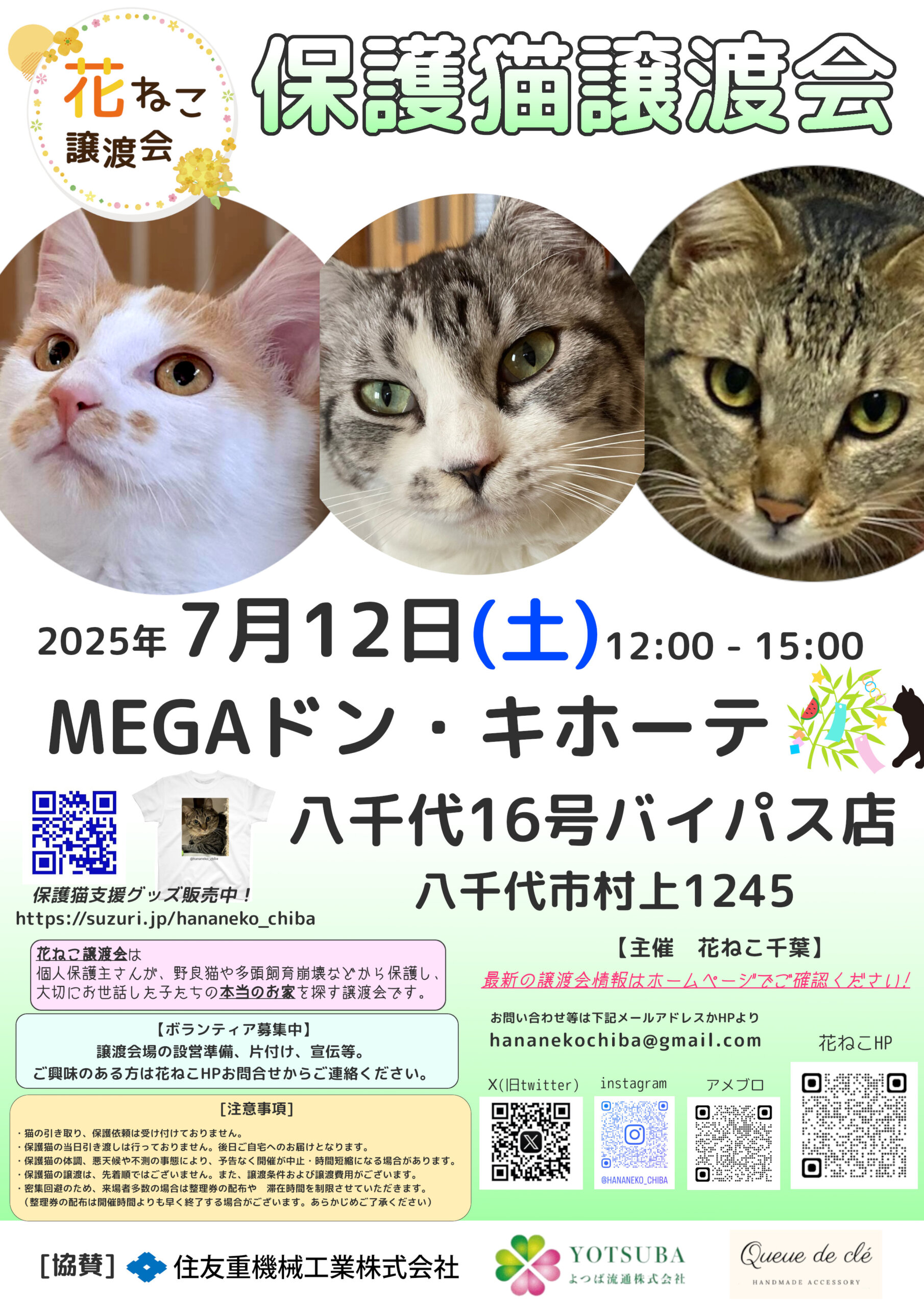 花ねこ譲渡会