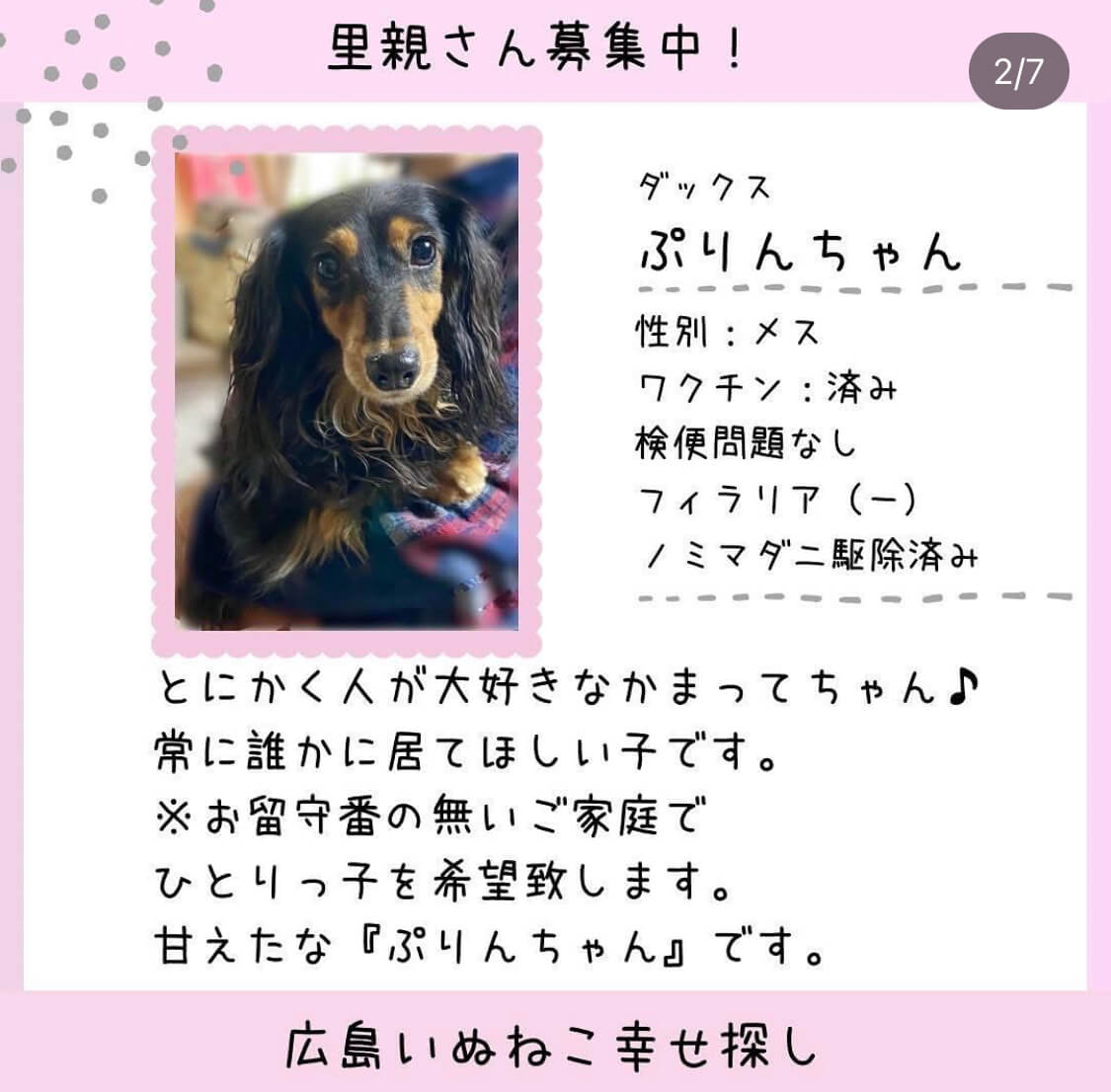 ぷりんちゃん
