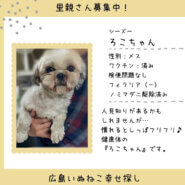 ろこちゃん