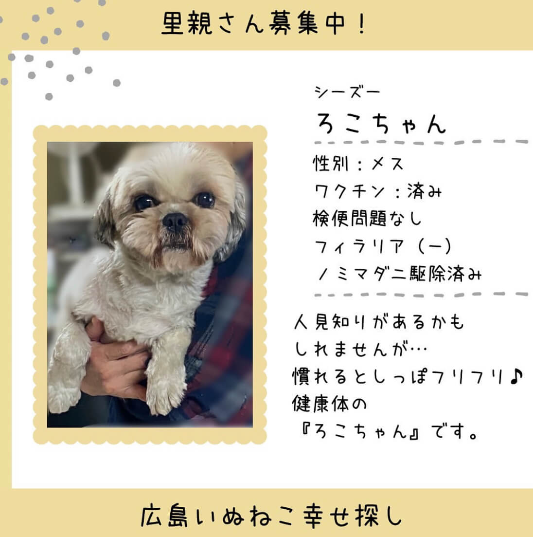 ろこちゃん