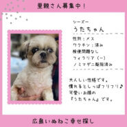 うたちゃん
