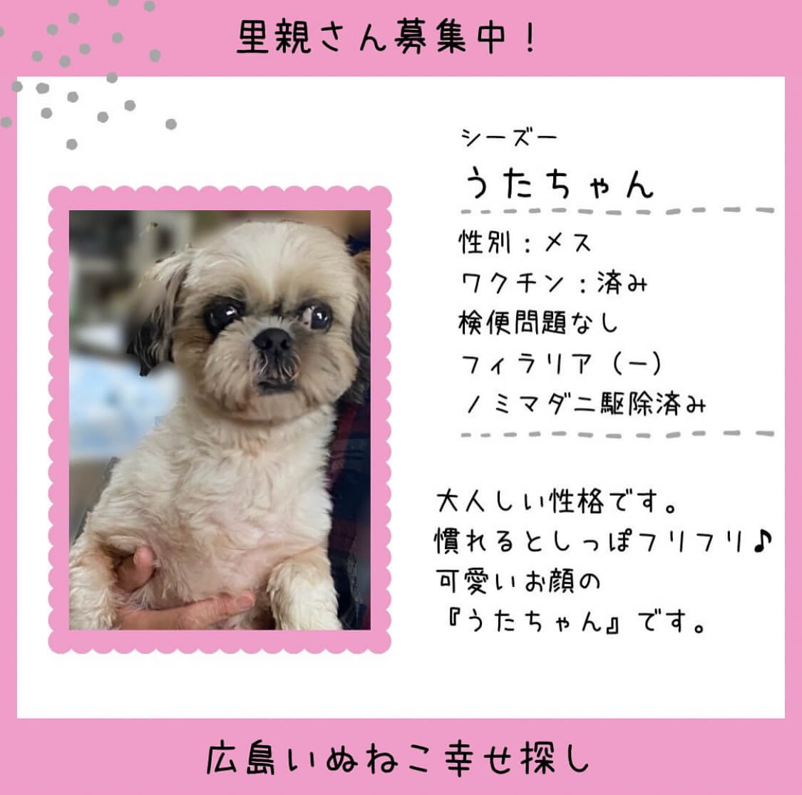 うたちゃん