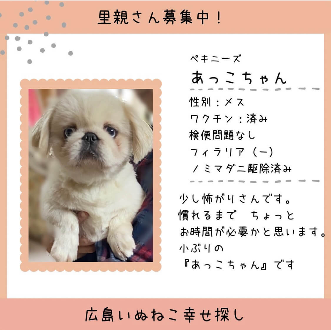 あっこちゃん