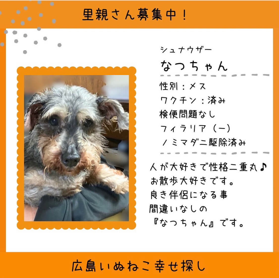 なつちゃん