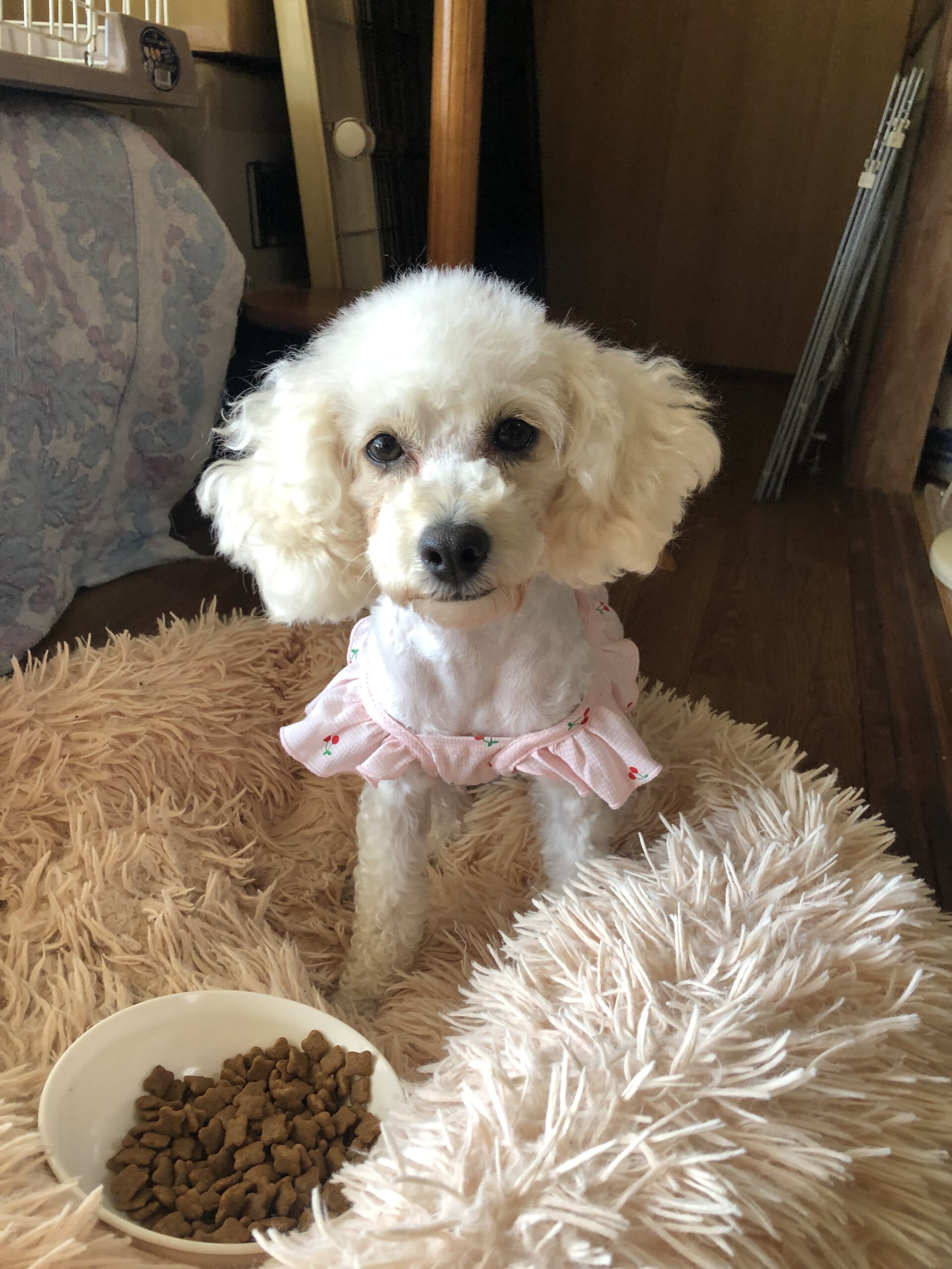 えりかちゃん