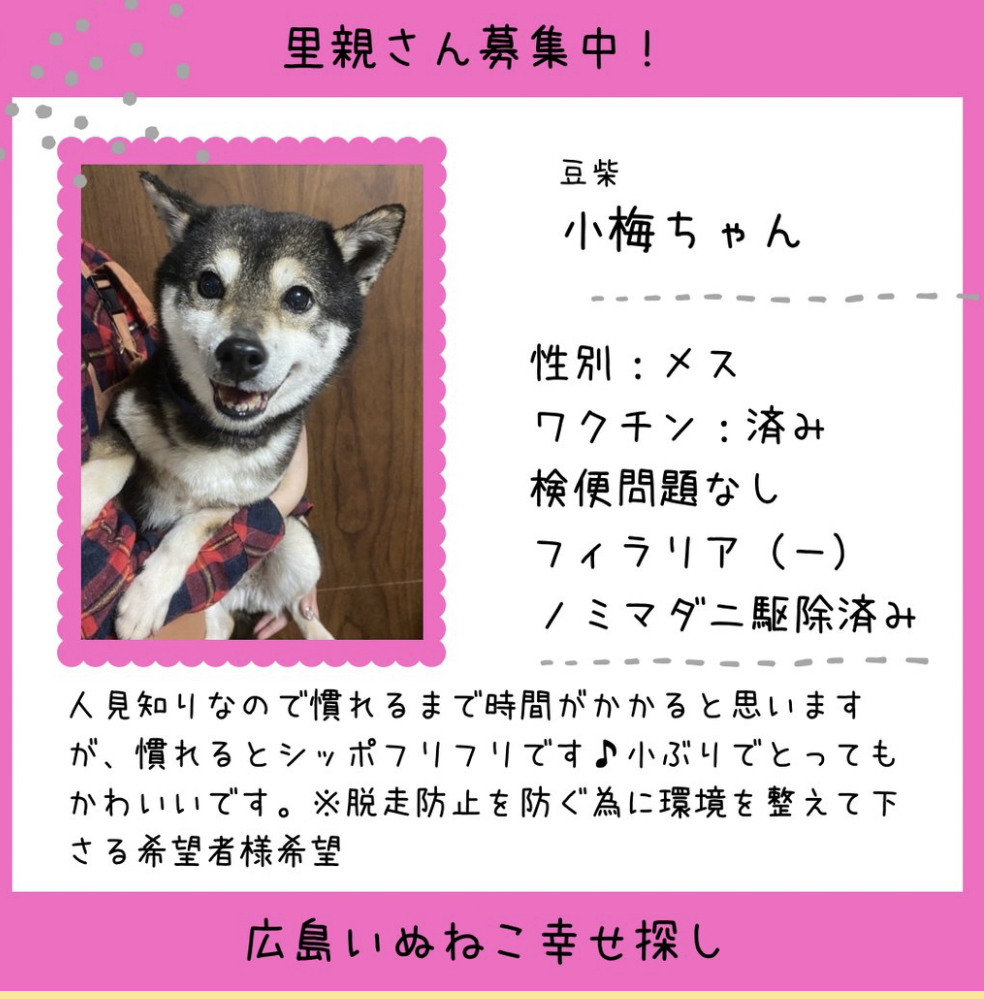 小梅ちゃん