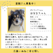 はるなちゃん