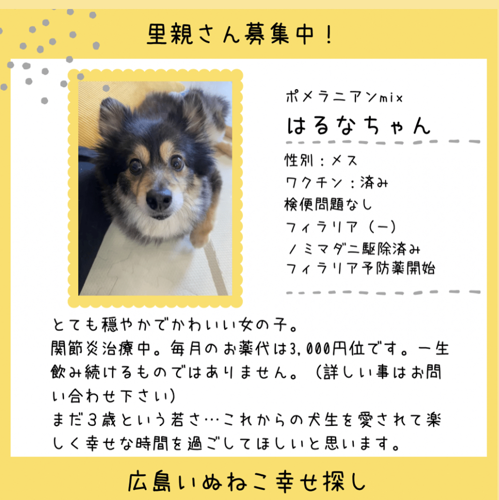 はるなちゃん