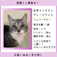 グレースちゃん