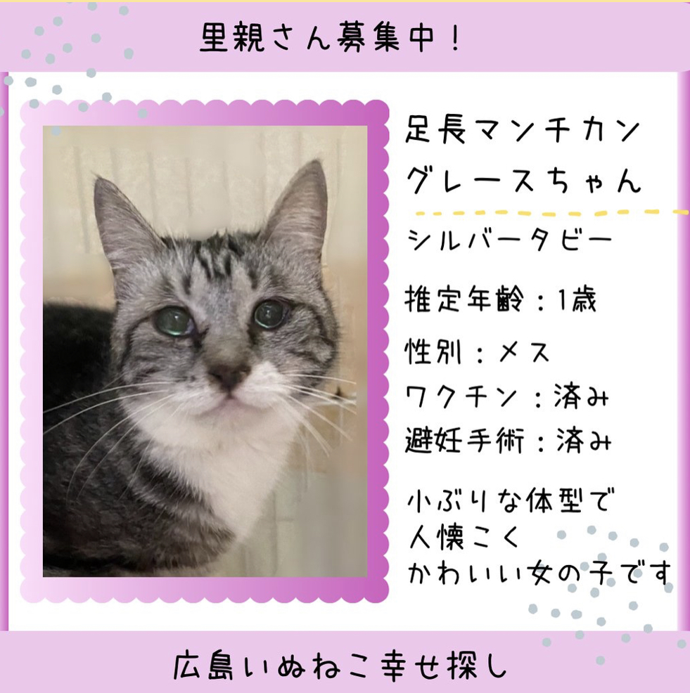 グレースちゃん