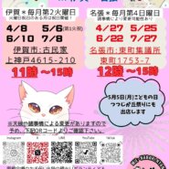 猫の里親会in名張❣️