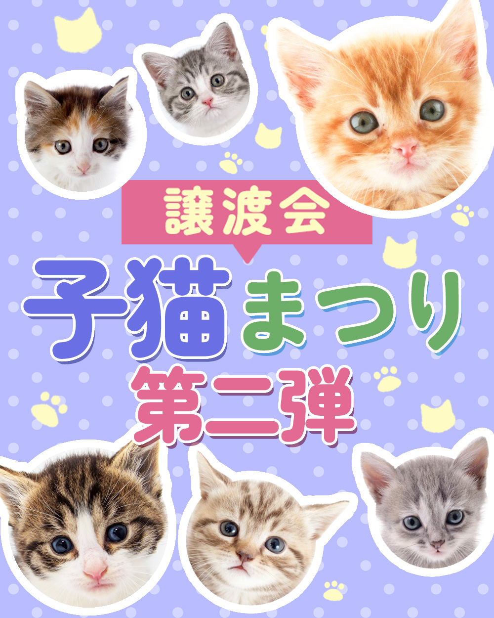 【子猫まつり第2弾】25匹くらいの子猫★みよし市