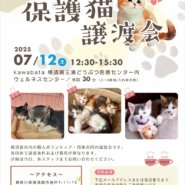 神奈川横須賀・保護猫🐾譲渡会