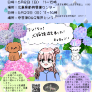 犬猫譲渡会