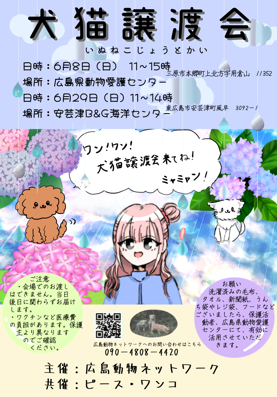 犬猫譲渡会
