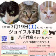 花ねこ譲渡会