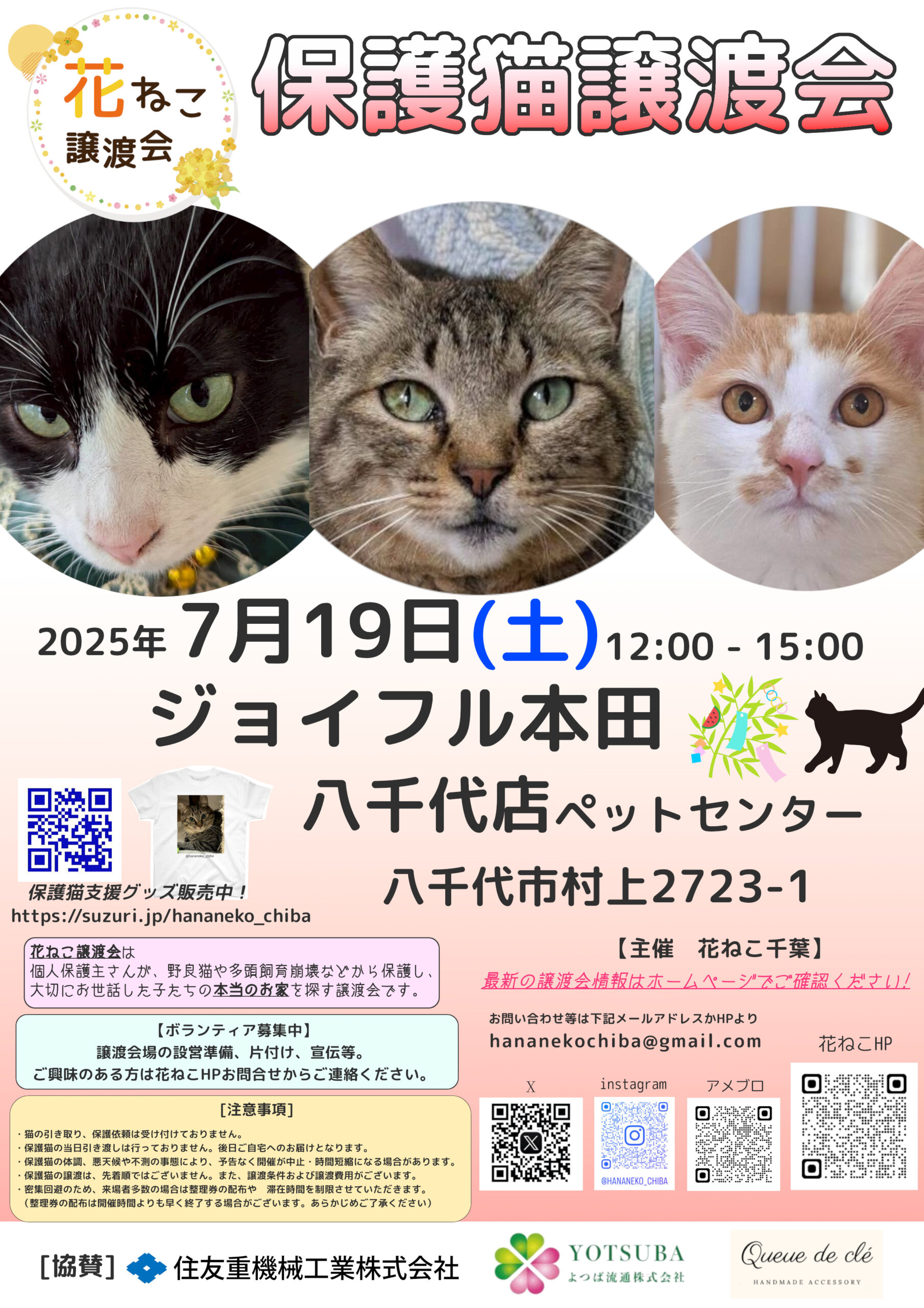 花ねこ譲渡会