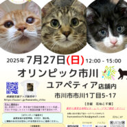 花ねこ譲渡会