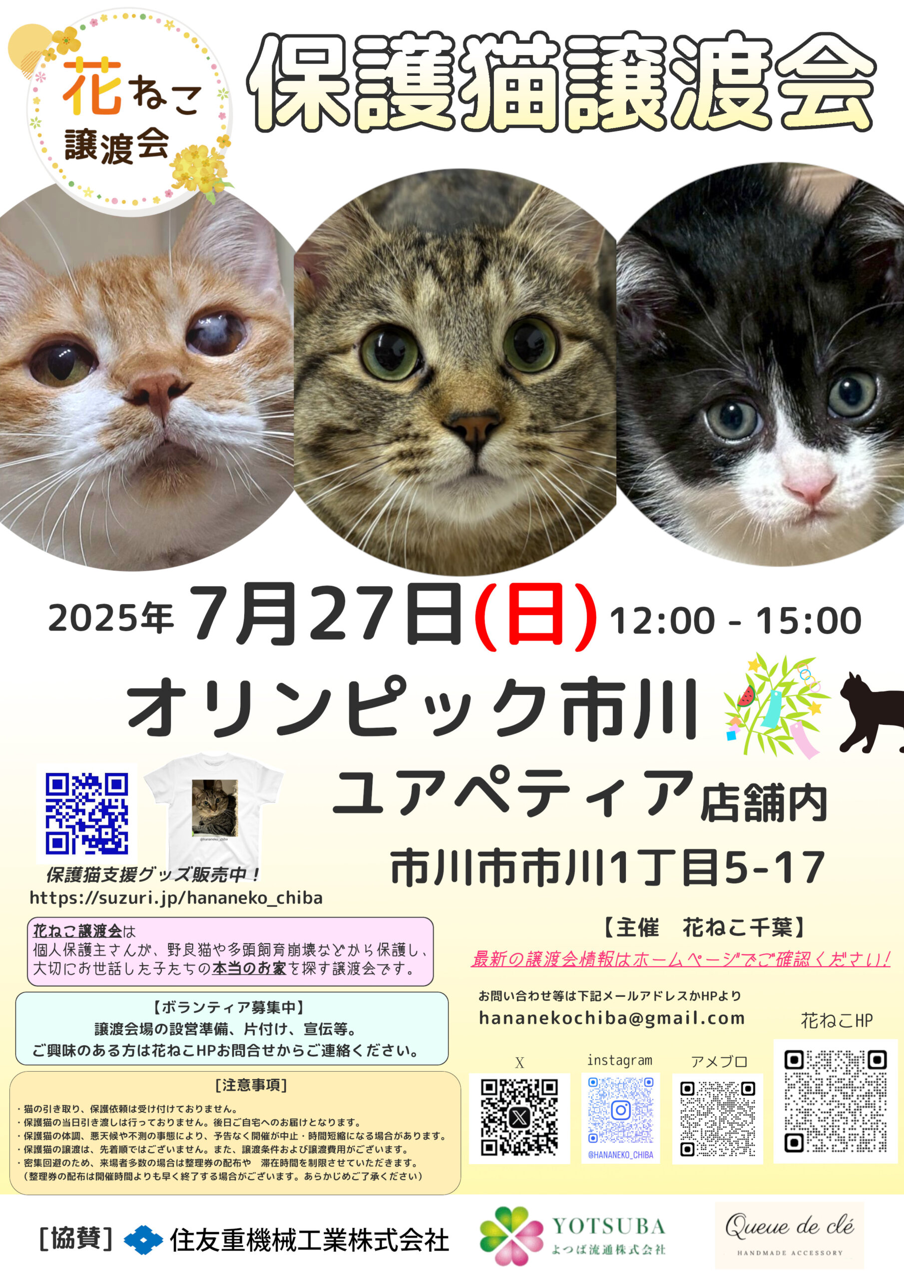 花ねこ譲渡会